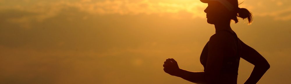 Fitness Program for Beginners by Lula Valdez